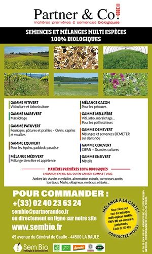 Partner & Co (pavé)