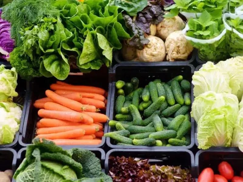 Foire Bio des Savoie