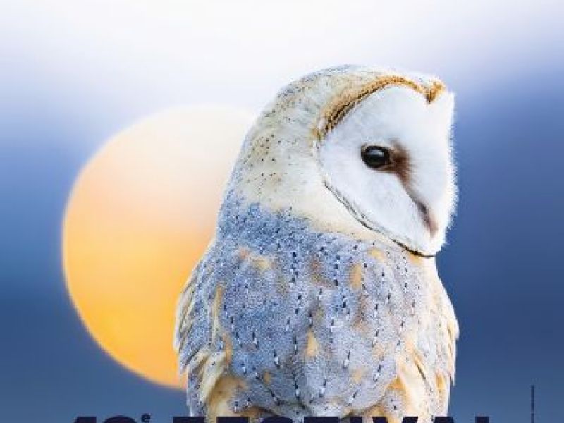 Festival International du Film Ornithologique