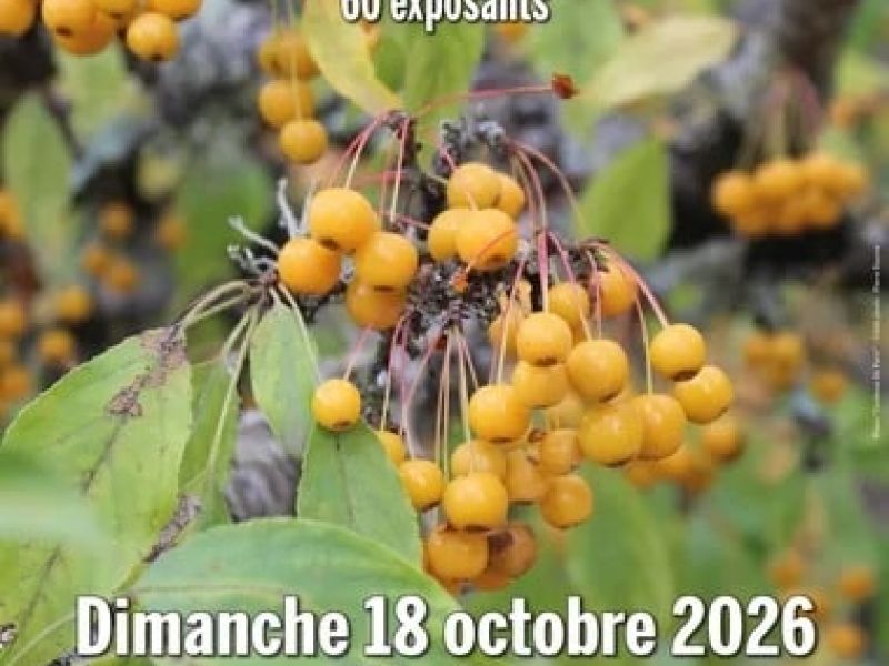 Foire aux Plantes Rares ou Méconnues
